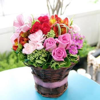 ��ǰ����