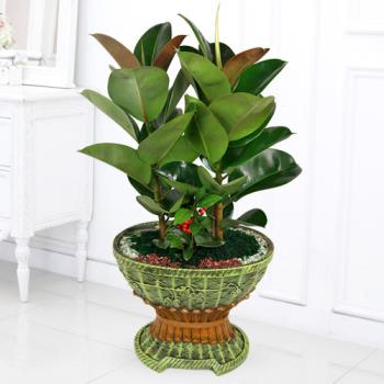 ��ǰ����