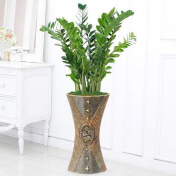 ��ǰ����