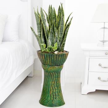 ��ǰ����