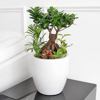 ��ǰ����