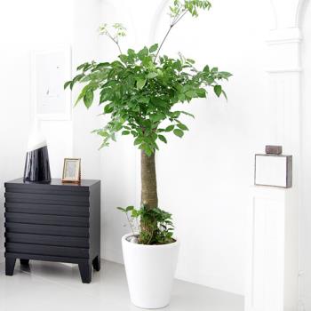 ��ǰ����