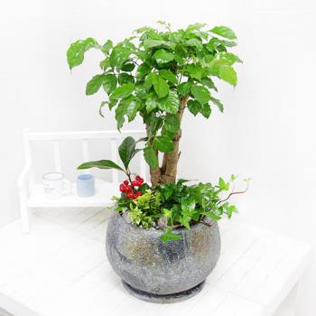 ��ǰ����