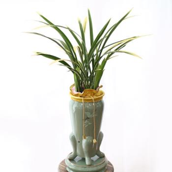 ��ǰ����