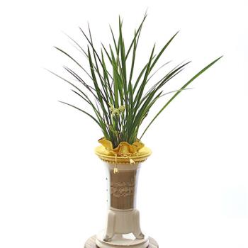 ��ǰ����