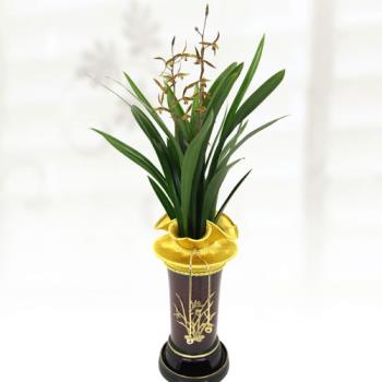 ��ǰ����