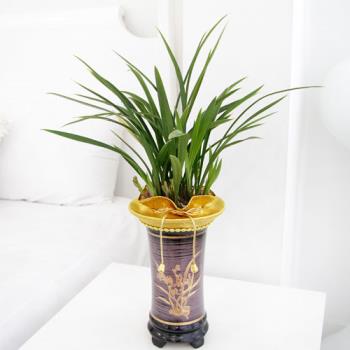 ��ǰ����