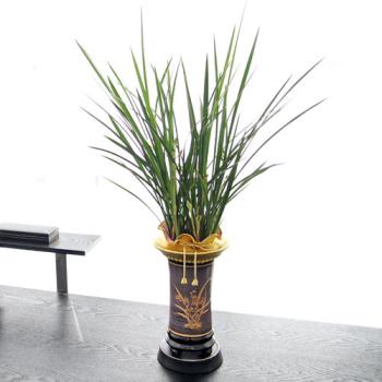 ��ǰ����