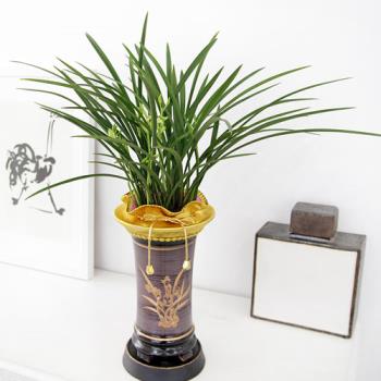 ��ǰ����