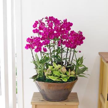 ��ǰ����