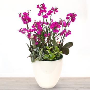 ��ǰ����