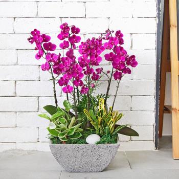 ��ǰ����