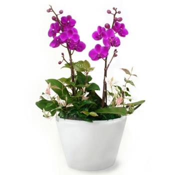 ��ǰ����