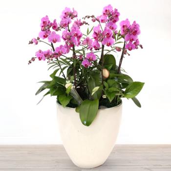 ��ǰ����