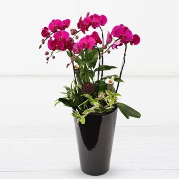 ��ǰ����