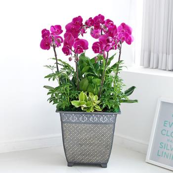 ��ǰ����