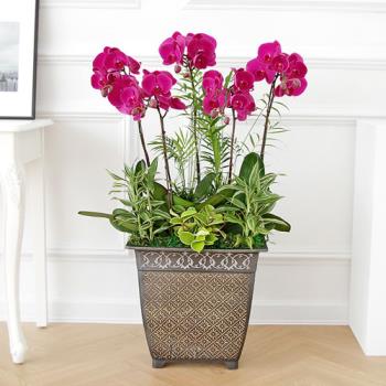 ��ǰ����