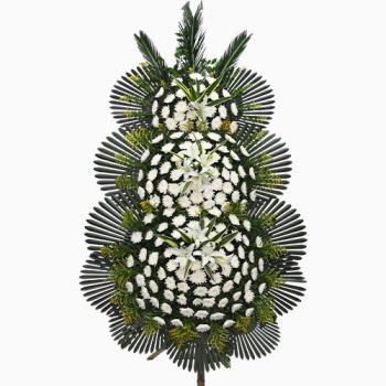 ��ǰ����