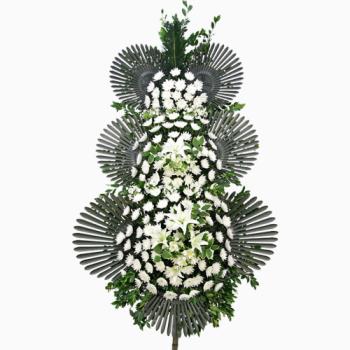 ��ǰ����