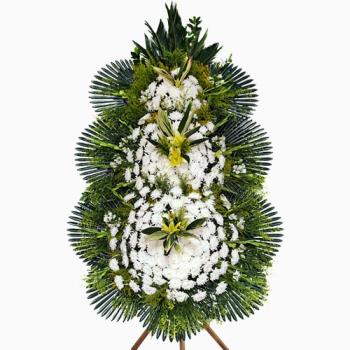 ��ǰ����