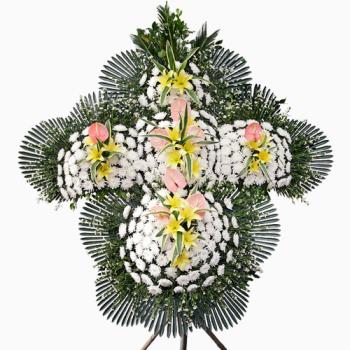 ��ǰ����