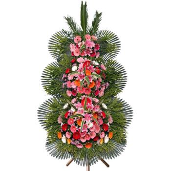 ��ǰ����