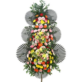 ��ǰ����