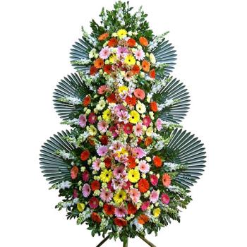 ��ǰ����