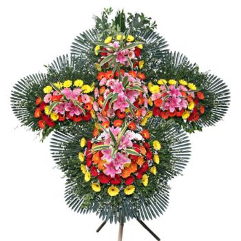 ��ǰ����