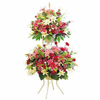 ��ǰ����