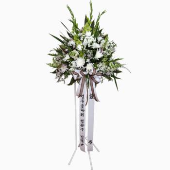 ��ǰ����