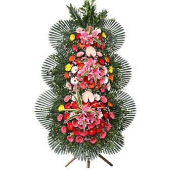 ��ǰ����