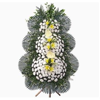 ��ǰ����