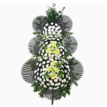 ��ǰ����