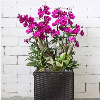 ��ǰ����