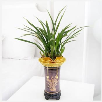 ��ǰ����