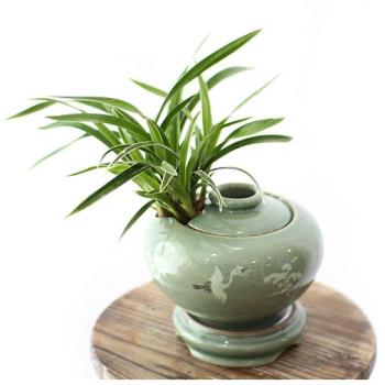 ��ǰ����