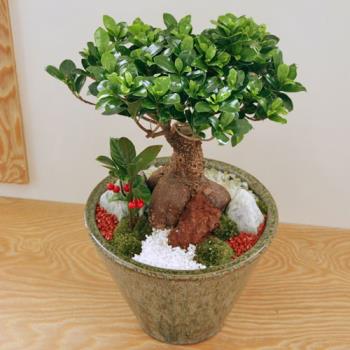 ��ǰ����