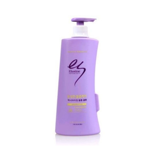 ��ǰ����